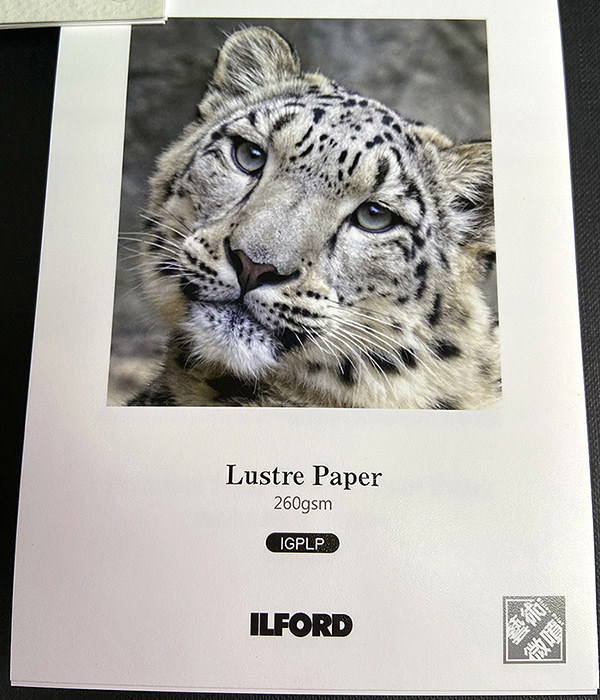 Lustre Paper  260gsm